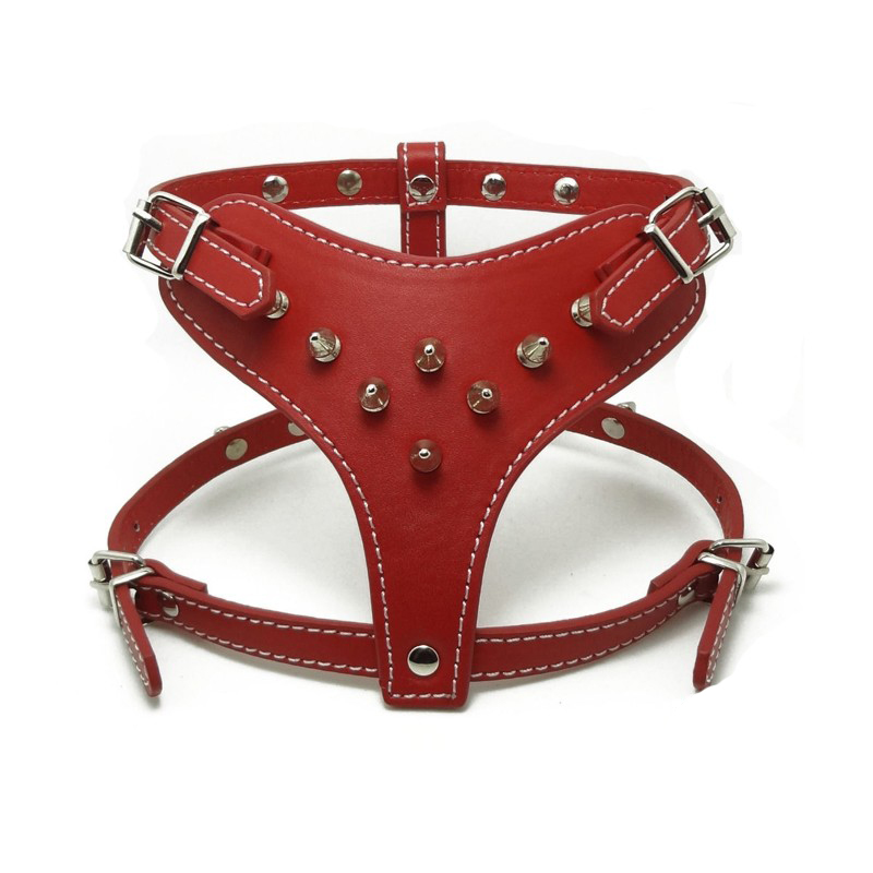 Poochy And Zoey Leather Spike Harness | Harness | Poochyandzoey.com